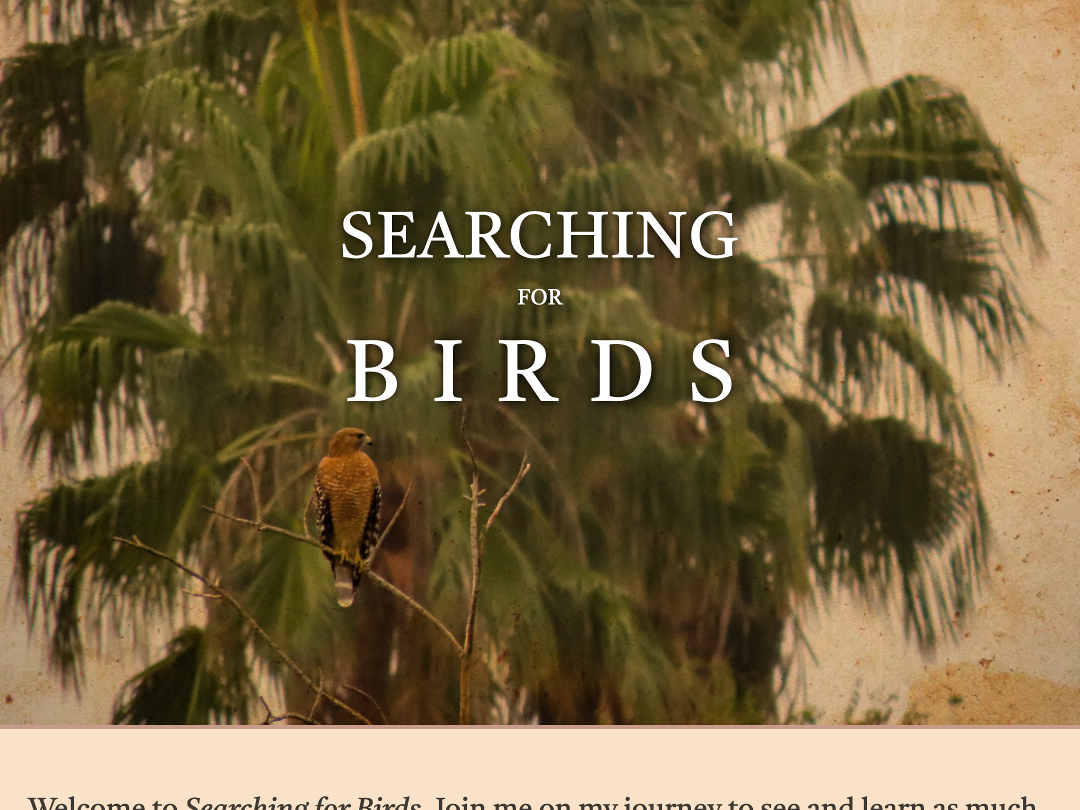 searching-for-birds-screenshot-home